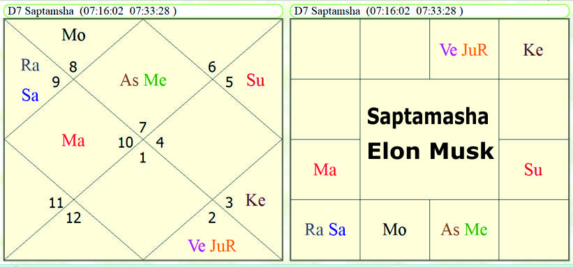 Saptamasha Elon Musk horoscope 