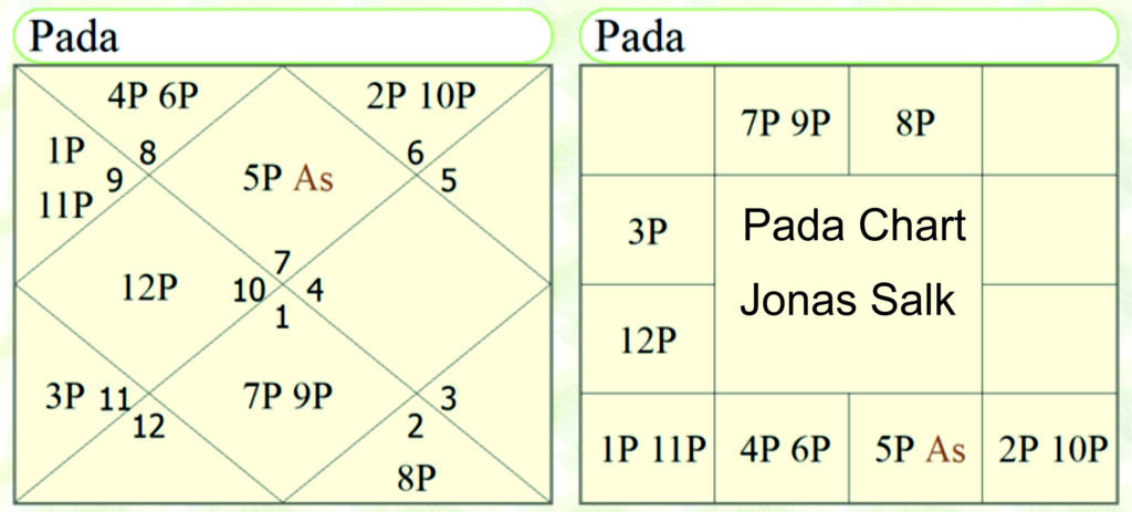 Pada Chart Dr. Jonas Salk 